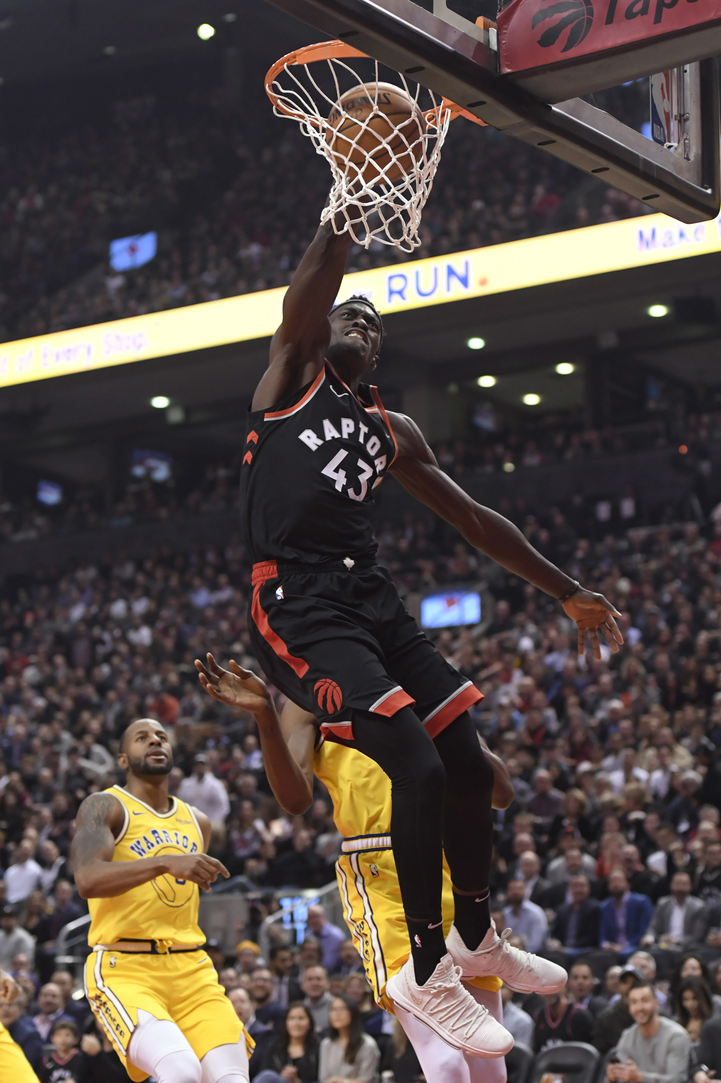 C延长生命 C延长生命